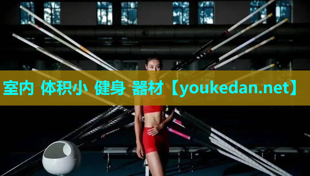 室内 体积小 健身 器材