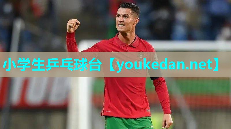 小学生乒乓球台