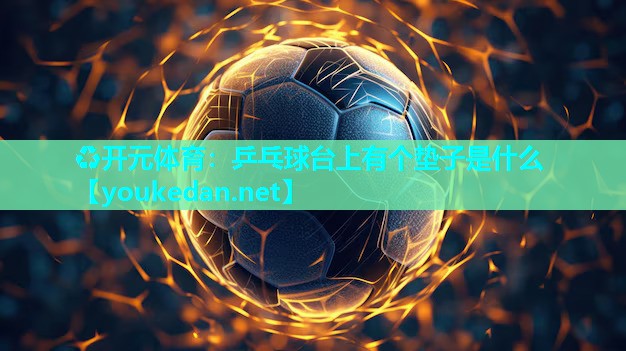 乒乓球台上有个垫子是什么