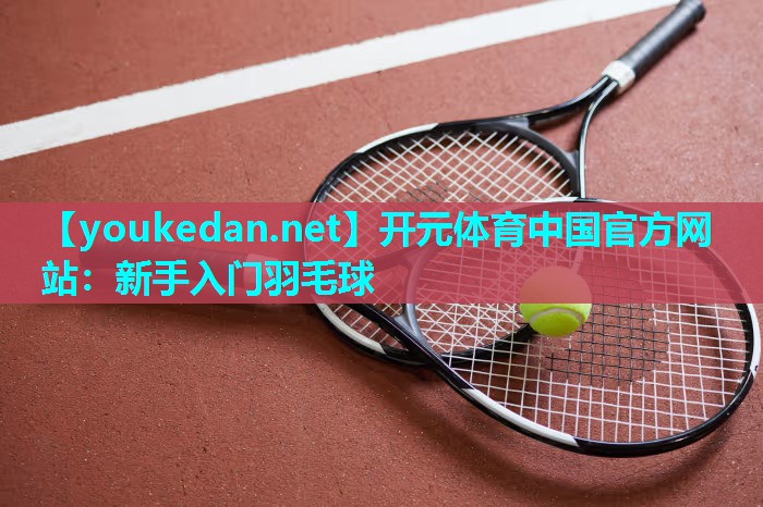 新手入门羽毛球