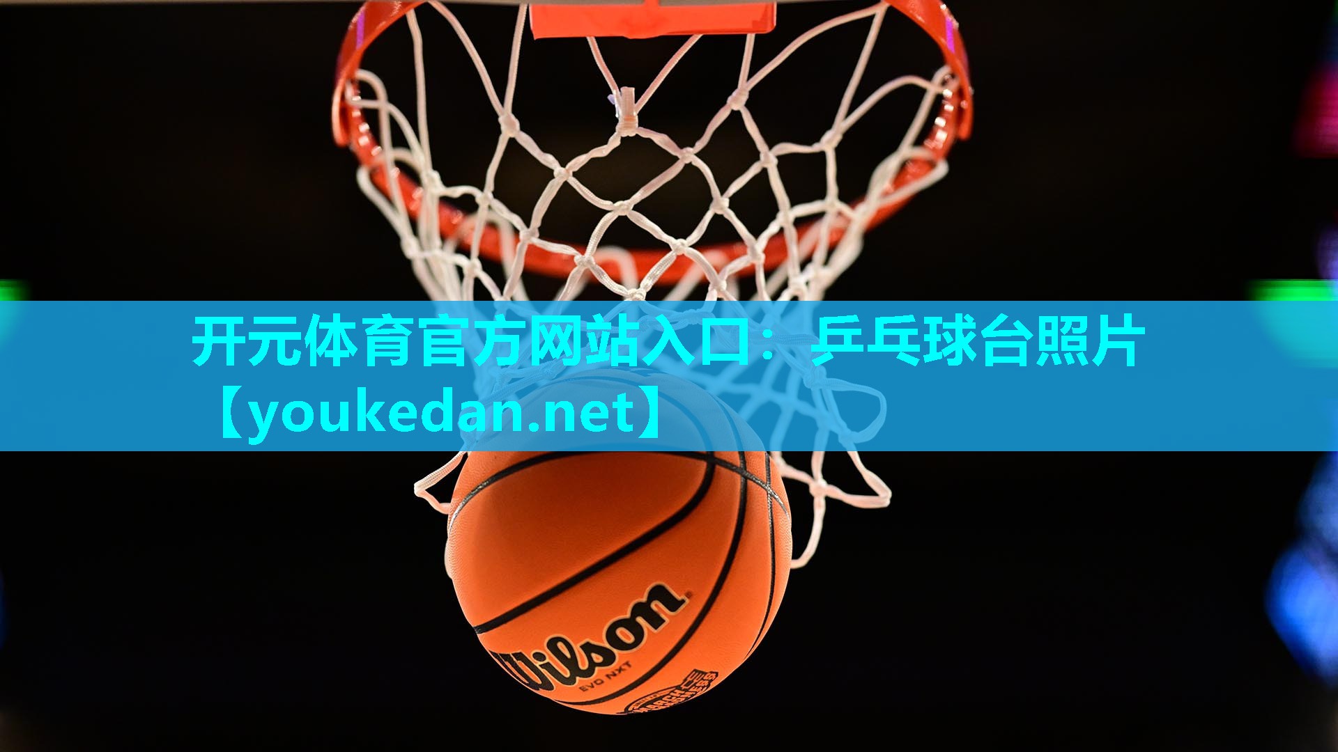 乒乓球台照片