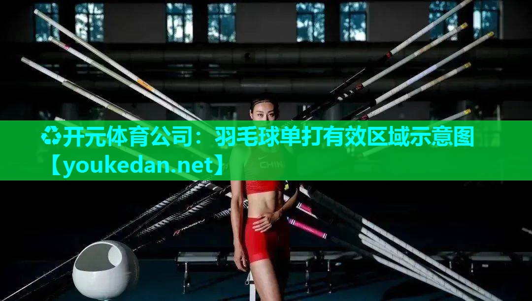 羽毛球单打有效区域示意图