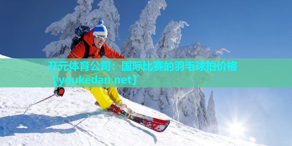 国际比赛的羽毛球拍价格